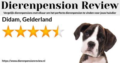 Alle Dierenpensions In Didam Gelderland Dierenpension Review