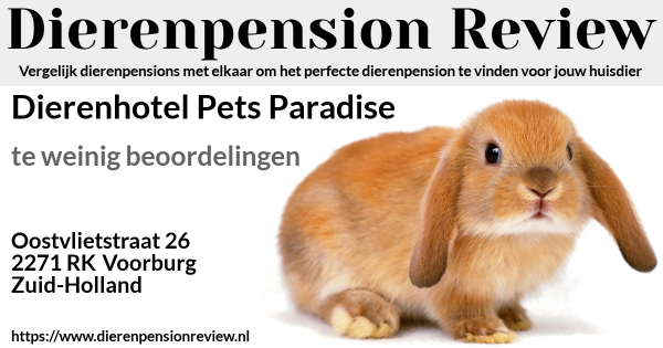 Dierenhotel zuid holland Dierenhotel zuid holland